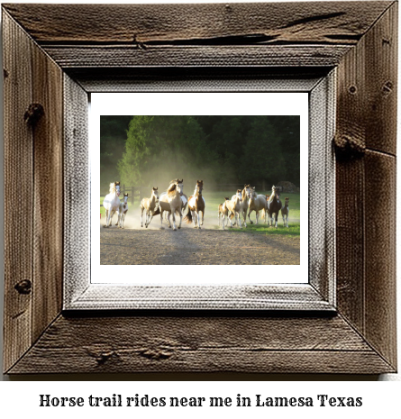 horse trail rides near me in Lamesa, Texas